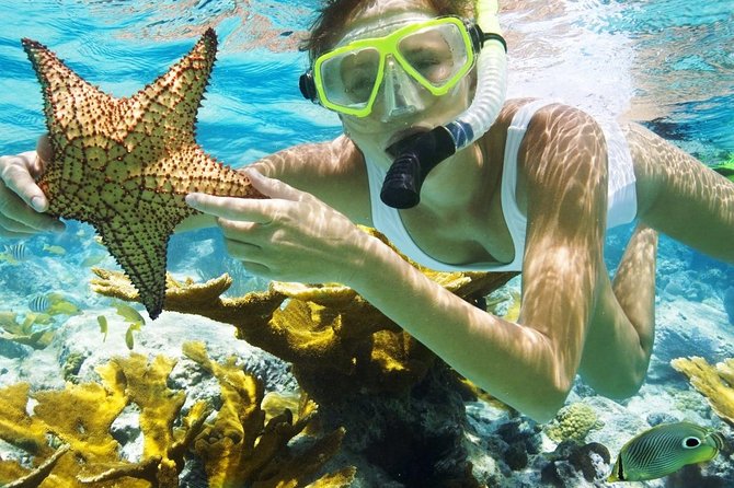 Best Snorkeling Trip at Blue Lagoon Bali - Blue Lagoon Beach, the first look below the surface