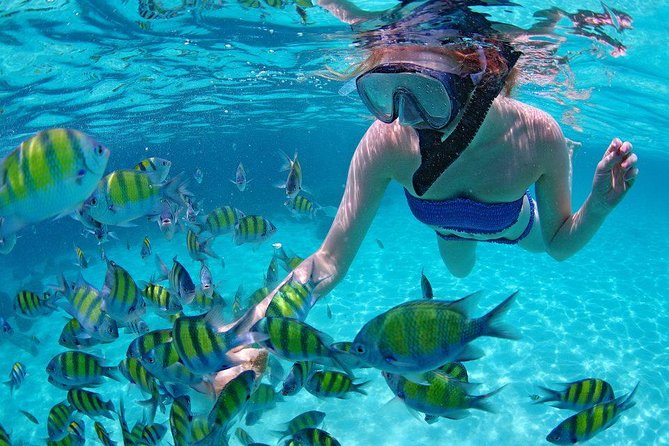 Best Snorkeling Trip at Blue Lagoon Bali - Lunch, showers, and the useful end of the outing