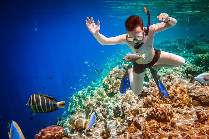 Best Snorkeling Trip at Blue Lagoon Bali - Booking, weather, and cancellation details