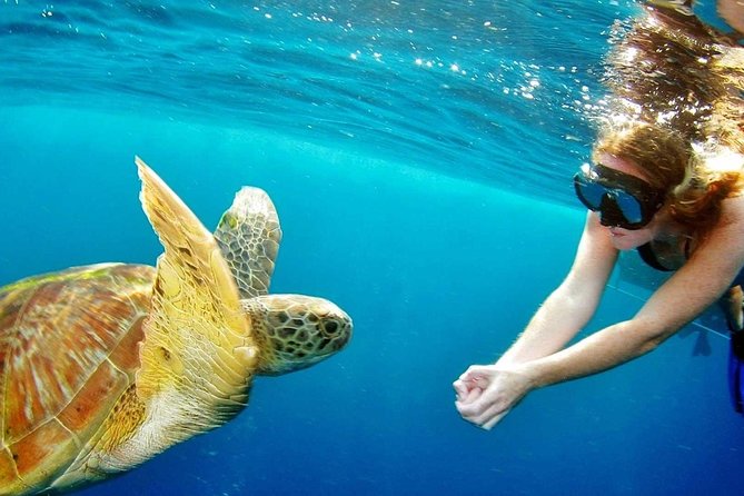 Best Snorkeling Trip at Blue Lagoon Bali - Tanjung Jepun and the better chance of seeing fish