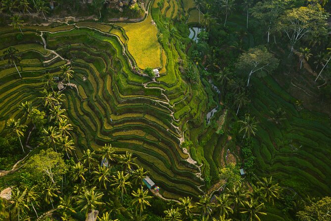 Best Ubud Highlights - Private Day Tour - Ubud Palace and a quick look at the town center