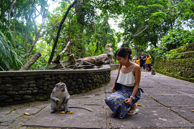 Best Ubud Highlights - Private Day Tour - What the private driver adds