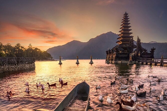 Best Ubud Tour with Instagrammable Jungle Swing all inclusive - Driver quality can shape the entire day
