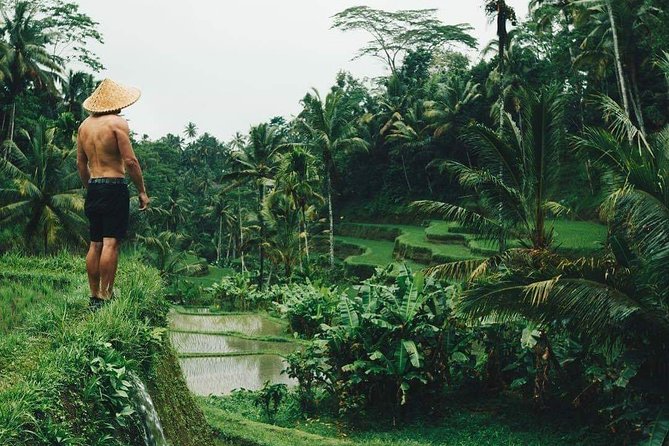 Best Ubud Tours -All inclusive with private driver - Key points to know before booking