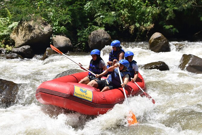 Best White Water Rafting & Lunch, Ubud - Is $27 a good price for Ubud rafting?