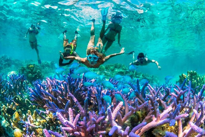 Bloo Lagoon Snorkeling East Bali Includes Transportation & Lunch - What you may see below the surface