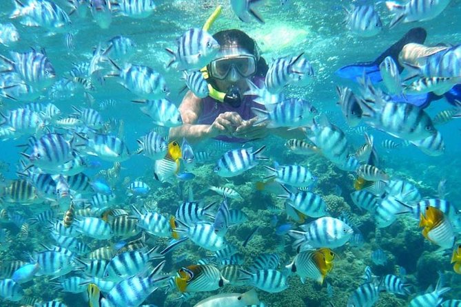 Bloo Lagoon Snorkeling East Bali Includes Transportation & Lunch - Lunch after the water