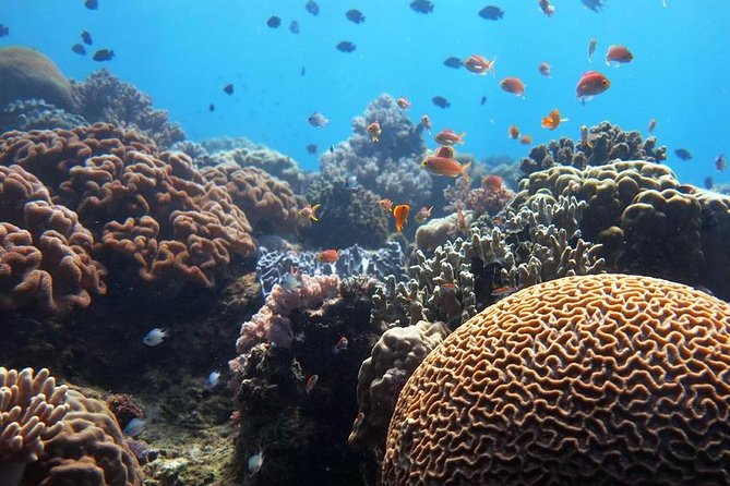 Bloo Lagoon Snorkeling East Bali Includes Transportation & Lunch - A short stop at black-sand Kusamba Beach