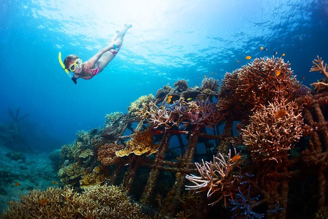 Bloo Lagoon Snorkeling East Bali Includes Transportation & Lunch - Door-to-door transport from Ubud and south Bali