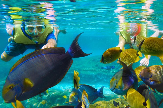 Bloo Lagoon Snorkeling East Bali Includes Transportation & Lunch - What the $82.50 price covers