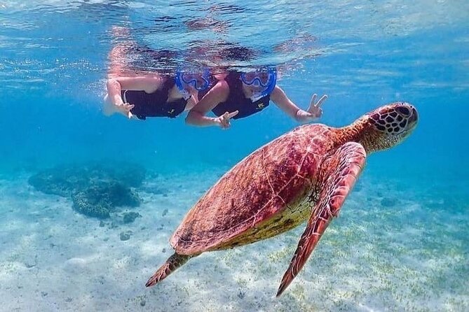 Bloo Lagoon Snorkeling East Bali Includes Transportation & Lunch - Four hours around the Blue Lagoon