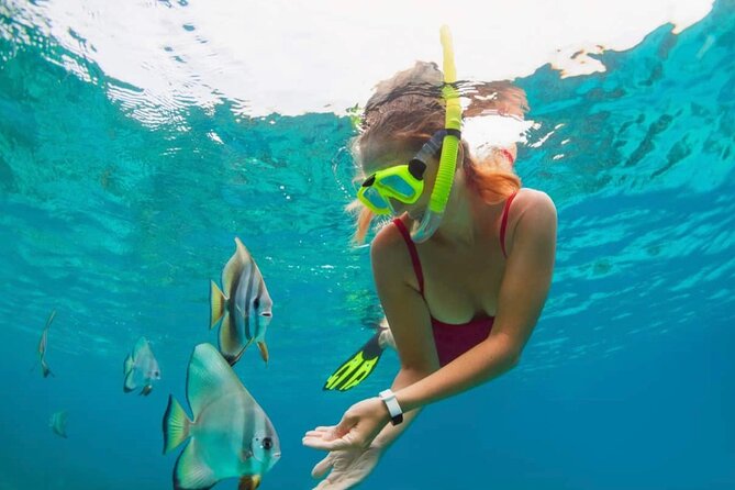 Blue Lagoon Snorkeling and Lunch - Ubud Monkey Forest - Waterfall - Two east Bali snorkeling sites in one morning
