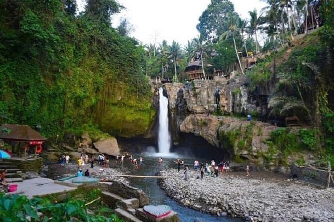 Blue Lagoon Snorkeling and Lunch - Ubud Monkey Forest - Waterfall - Ubud Monkey Forest closes the day