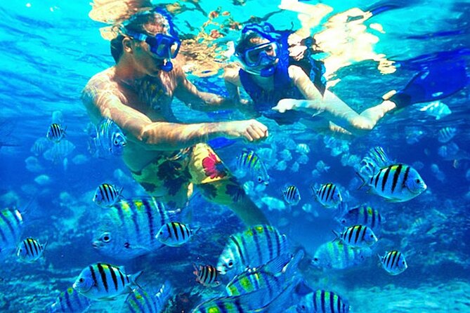 Blue Lagoon Snorkeling and Lunch - Ubud Monkey Forest - Waterfall - What to bring for a full day out