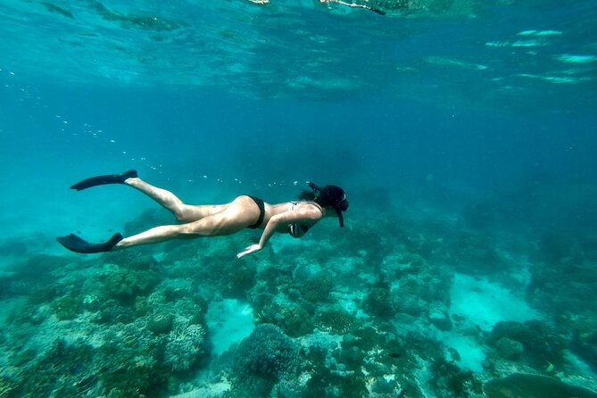 Blue Lagoon Snorkeling and Lunch - Ubud Monkey Forest - Waterfall - Weather and cancellation points to know