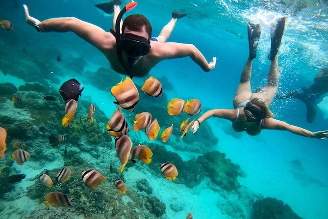Blue Lagoon Snorkeling and Lunch - Ubud Monkey Forest - Waterfall - The practical Padangbai stop after snorkeling