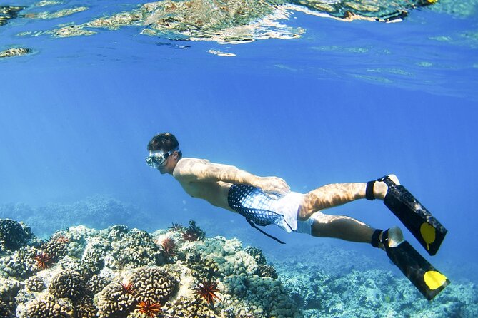 Blue Lagoon Snorkeling and Lunch with Private Transfer - Kanto Lampo Waterfall for a jungle stop