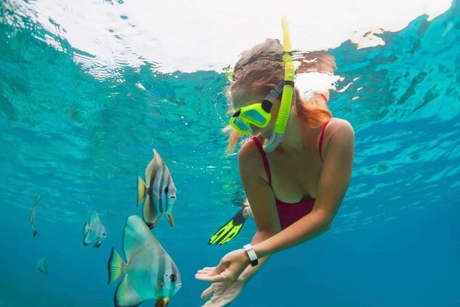 Blue Lagoon Snorkeling and Lunch with Tukad Cepung Waterfall - Key points to know before booking