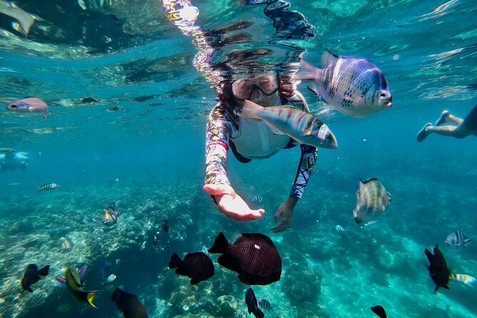 Blue Lagoon Snorkeling and Lunch with Tukad Cepung Waterfall - Private car service changes the pace