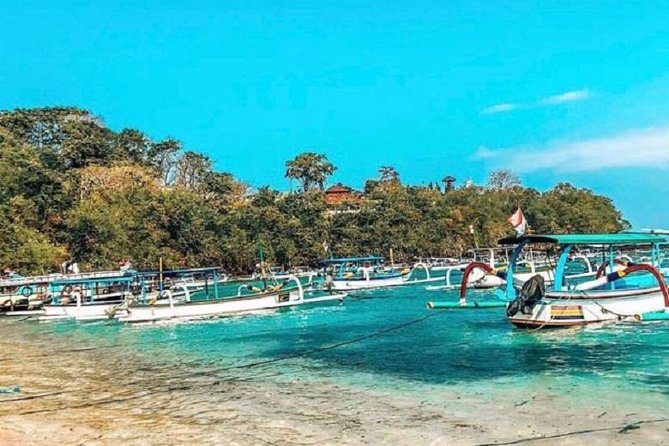 Blue Lagoon Snorkeling and Lunch with Visit Tegenungn Waterfall in Ubud - Who will enjoy this Bali snorkeling tour?