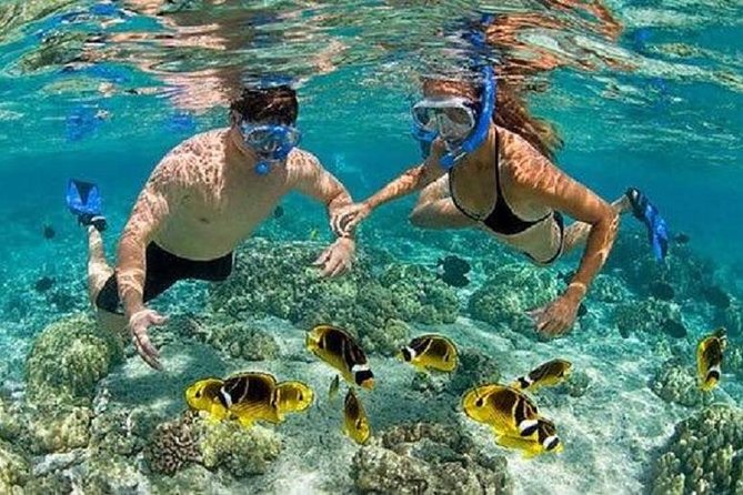 Blue Lagoon Snorkeling and Lunch with Visit Tegenungn Waterfall in Ubud - What the private setup really adds