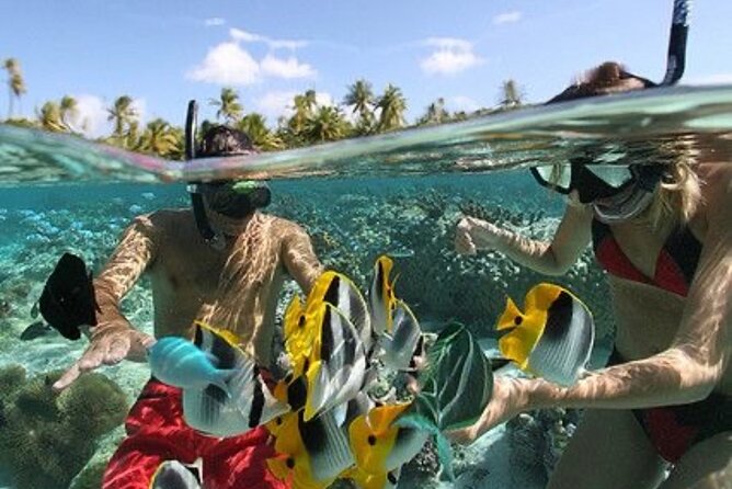 Blue Lagoon Snorkeling - Lunch - Kantolampo - Tibumana Waterfall - Your driver shapes the whole experience