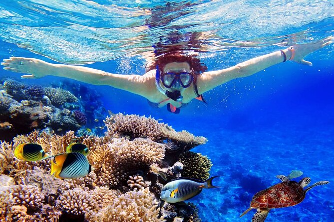 Blue Lagoon & Tanjung Jepun Snorkeling Private Tour - Key points to know before booking