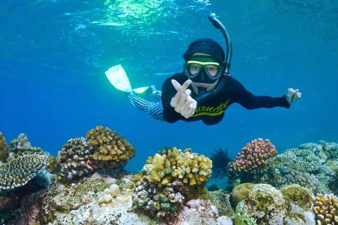 Blue Lagoon & Tanjung Jepun Snorkeling Private Tour - A practical east Bali snorkeling day from Ubud