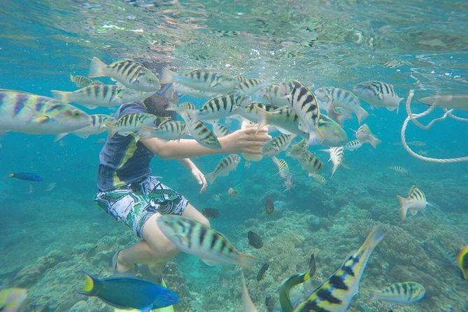 Blue Lagoon & Tanjung Jepun Snorkeling Private Tour - Blue Lagoon, the first stop