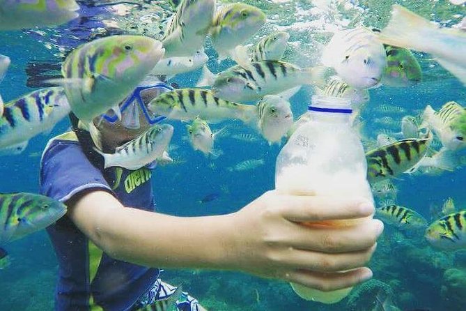 Blue Lagoon & Tanjung Jepun Snorkeling Private Tour - Tanjung Jepun adds a second reef stop