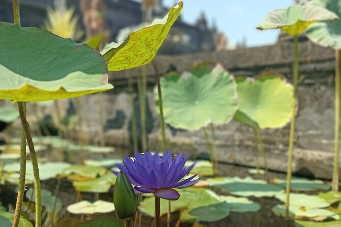 Brahmavihara Arama Banjar Hot Spring Ulundanu Bratan Private Tour - Comfort, timing, and the private format