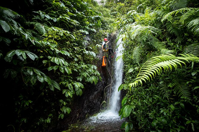 Canyoning Bali, Tamata Canyon (Adventure, discovery, nature) - Why Tamata feels different from a standard Bali day trip