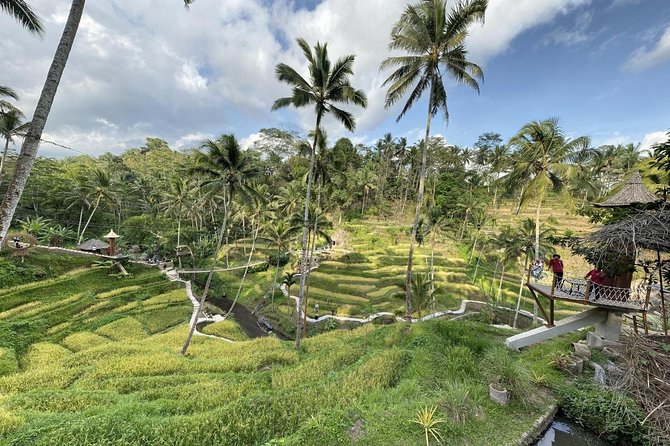 coconut wine and coffee safary tour - What private guiding adds