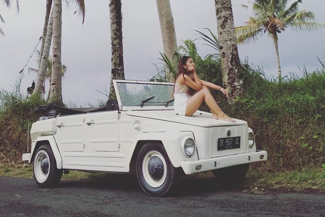 Daily VW Tour - Ubud VW Tour - Key points to know before booking