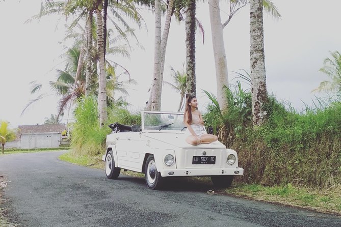 Daily VW Tour - Ubud VW Tour - Rice terraces and the countryside around Ubud