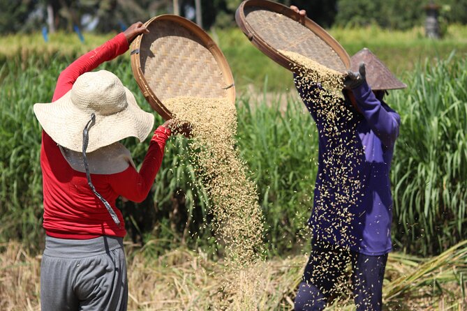 Day with a Balinese Family in a Village - Leaves, fibers, and the meaning of Balinese offerings