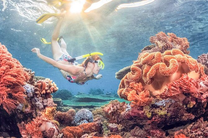Discover East Bali: Snorkeling Blue lagoon & Instagramable Spots - Tirta Gangga, a royal water palace with time to wander
