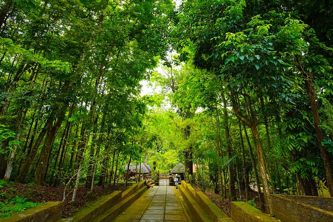 Discover Hidden Waterfall, Unesco Rice Terraces and Mountain Temple - Lunch, transport, and the value of $55.59