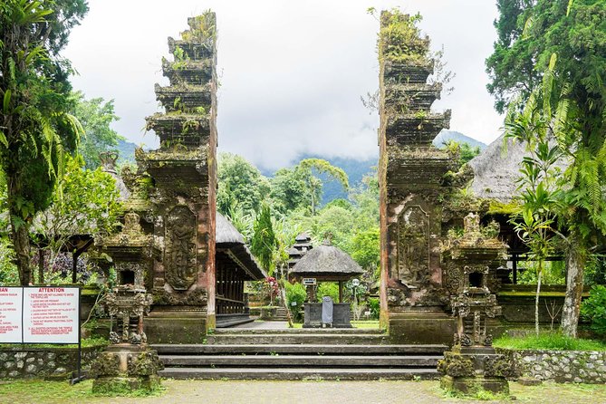 Discover Hidden Waterfall, Unesco Rice Terraces and Mountain Temple - Who should book this Bali day trip?