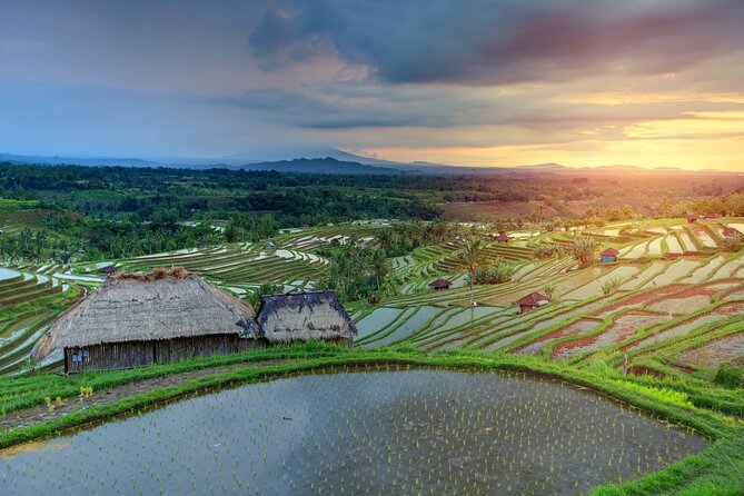 Discover Hidden Waterfall, Unesco Rice Terraces and Mountain Temple - Jatiluwih’s UNESCO rice terraces