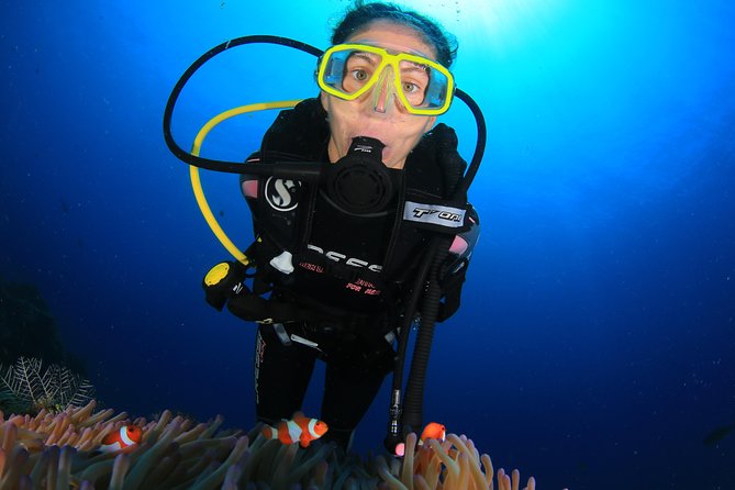 Discover Scuba Diving - Pickup, timing, and the Amed base