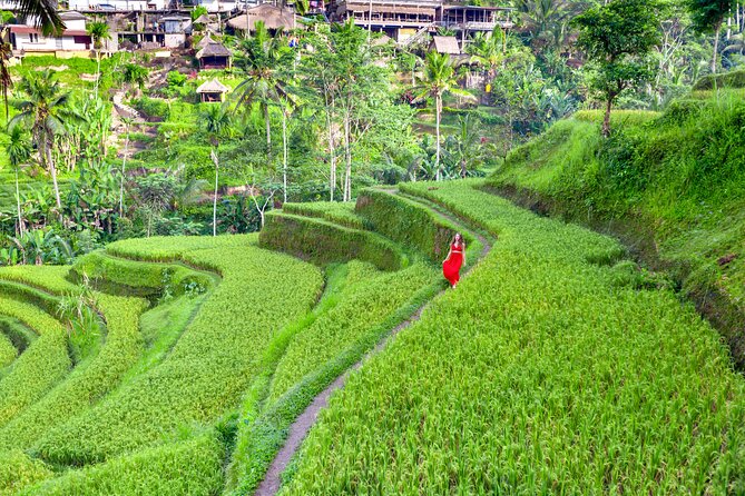 Discover The Best of Ubud: All-Inclusive and Private Guided Tour - What this Ubud day tour is really designed to do