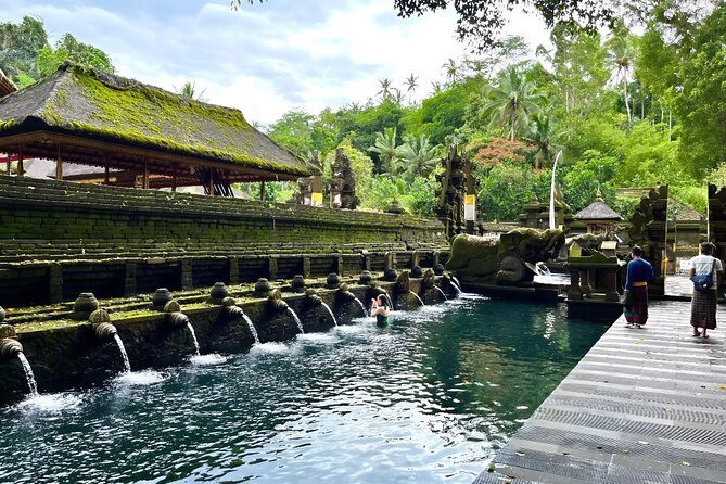 Discover The Best of Ubud: All-Inclusive and Private Guided Tour - Walking the Tegalalang Rice Terrace
