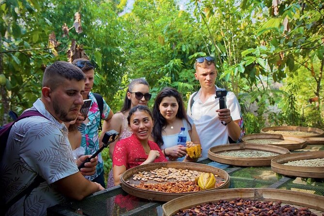 Discover The Best of Ubud: All-Inclusive and Private Guided Tour - Lunch above the rice fields
