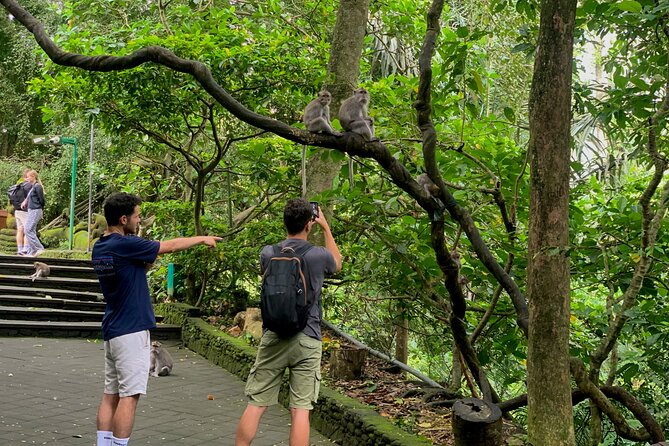Discover The Best of Ubud: All-Inclusive and Private Guided Tour - Your guide can shape the whole day