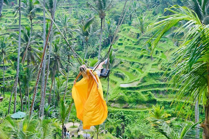Discover The Best of Ubud: All-Inclusive and Private Guided Tour - Starting at the Sacred Monkey Forest