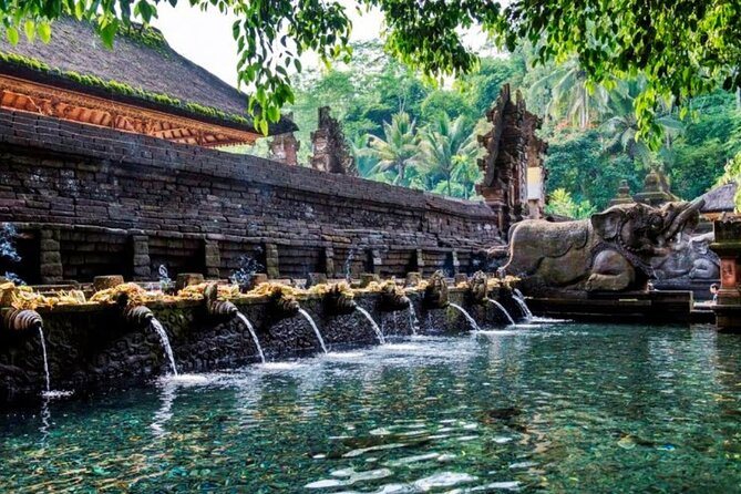 Discover Ubud: Exotism Ubud and Optional Meet the Bali Shaman - Private transport makes a long day easier