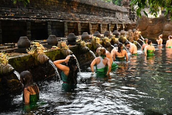 Discover Ubud: Exotism Ubud and Optional Meet the Bali Shaman - What the $85 price includes, and what it does not