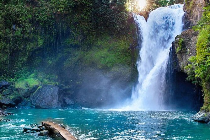 Discover Ubud: Exotism Ubud and Optional Meet the Bali Shaman - Tirta Empul, a temple built around holy spring water