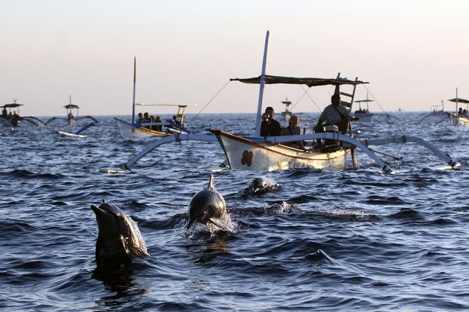 Dolphin Tour and Sunrise Watching in Lovina Beach - All Inclusive - Watching spinner dolphins in the open sea